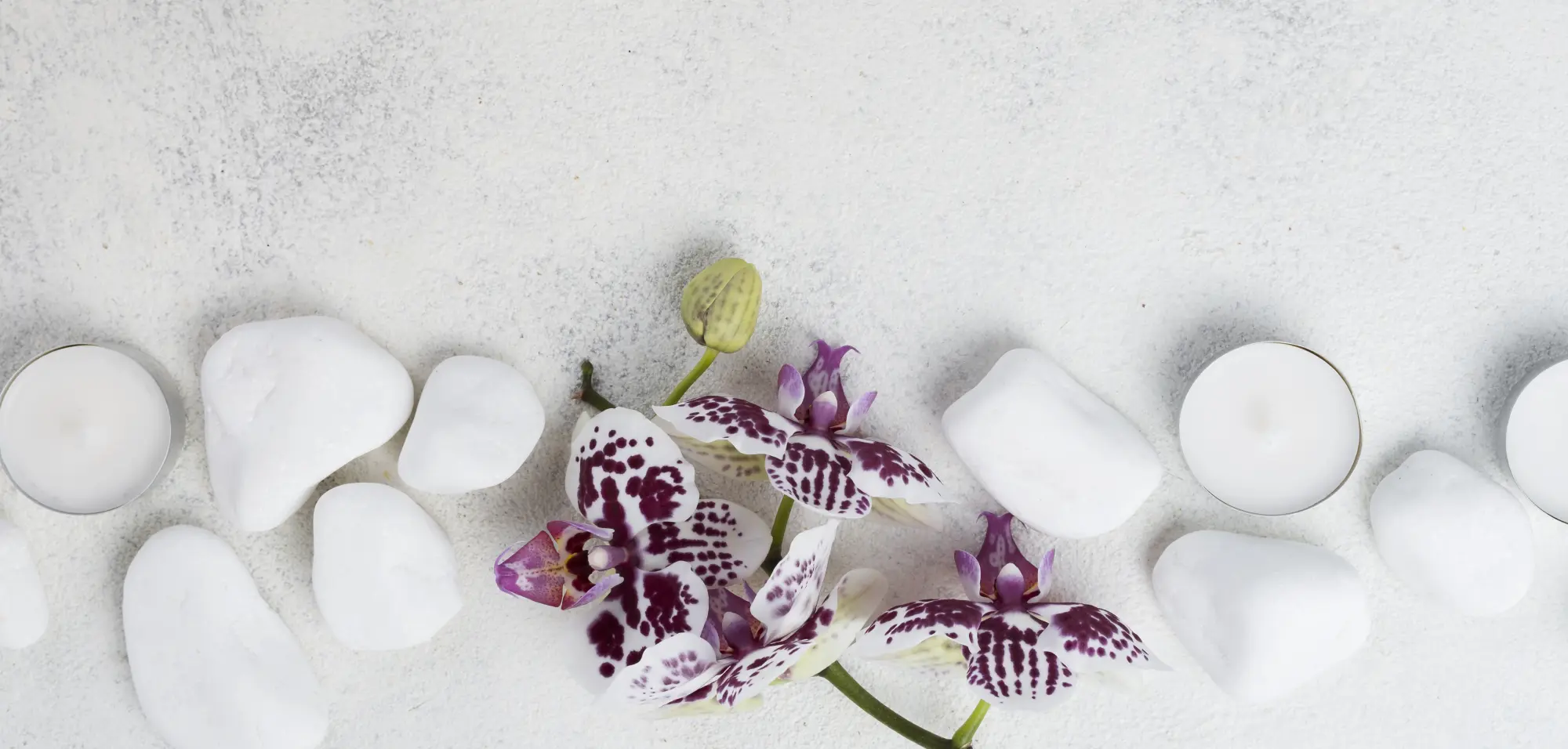Argenta | Fiori Benessere