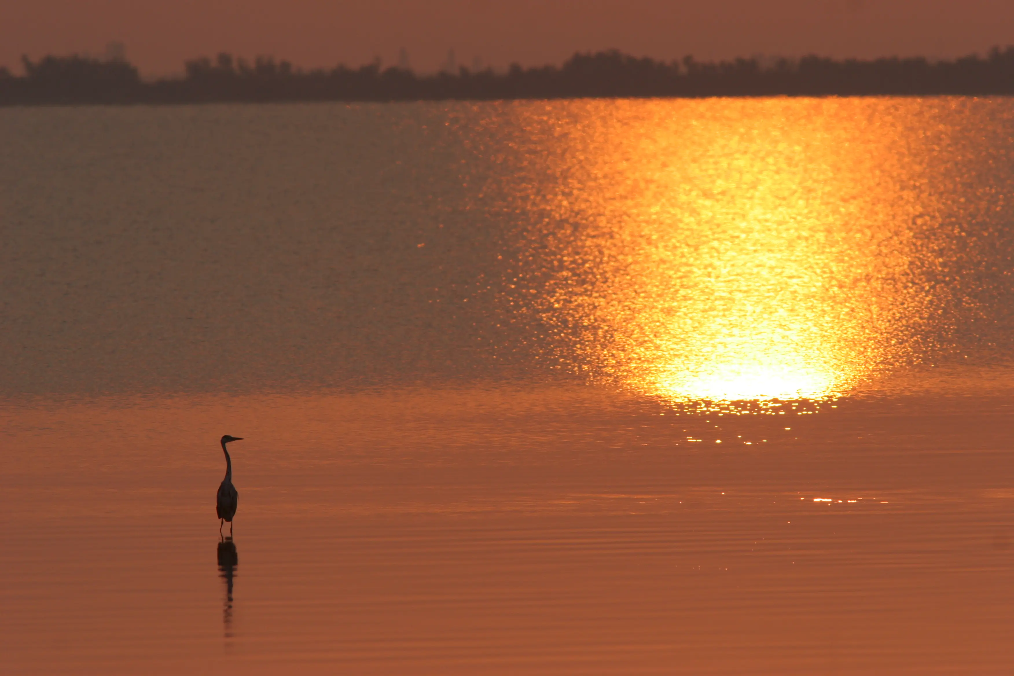 La magia del tramonto