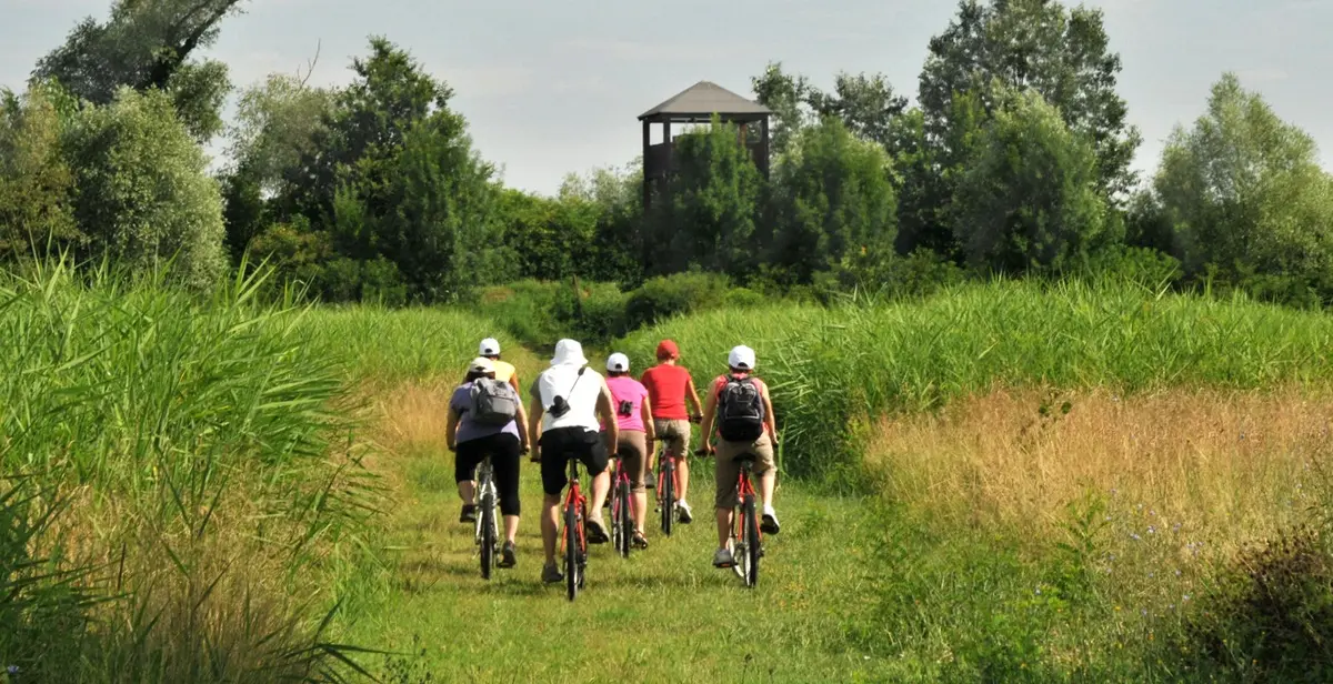 Escursione in bicicletta 