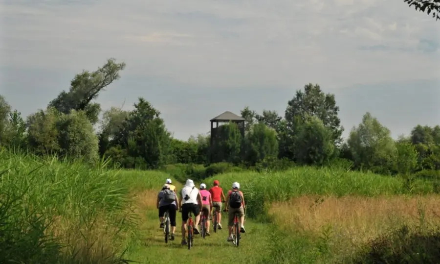 Pedalata della libertà