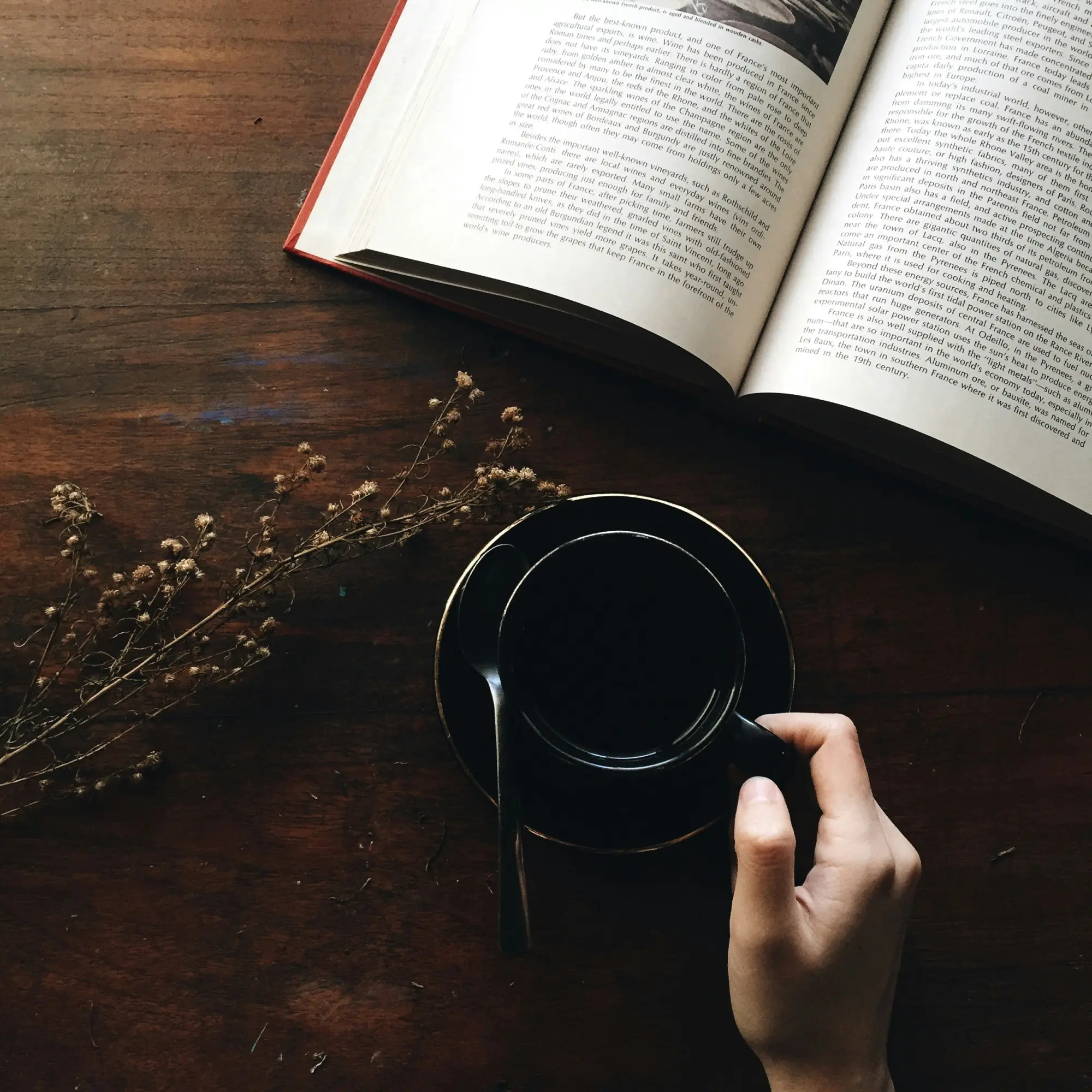 Caffè letterario a Longastrino