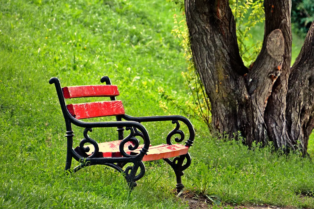 Intitolazione parco e inaugurazione panchina rossa a S.M.Codifiume