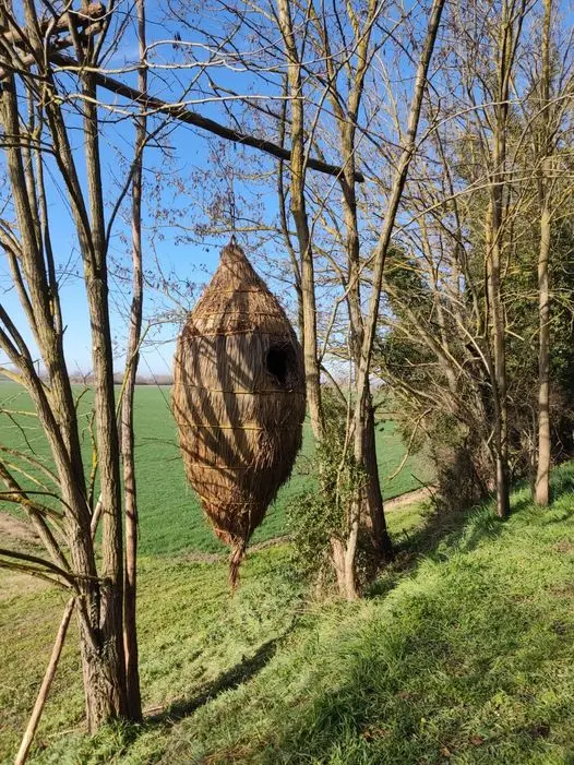 Escursione alla scoperta della Land Art -  Un nido per la biodiversità