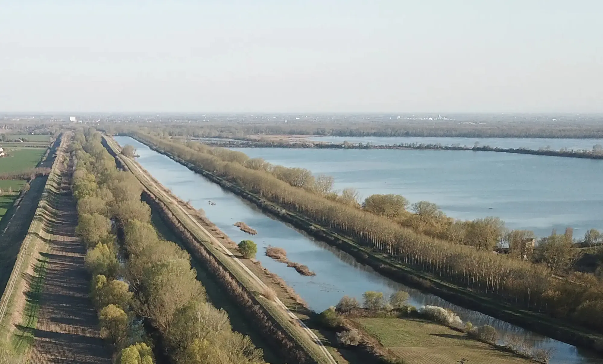 Escursione alla scoperta della Land Art -  Un nido per la biodiversità: legno, arte e natura per la valorizzazione del Po di Primaro