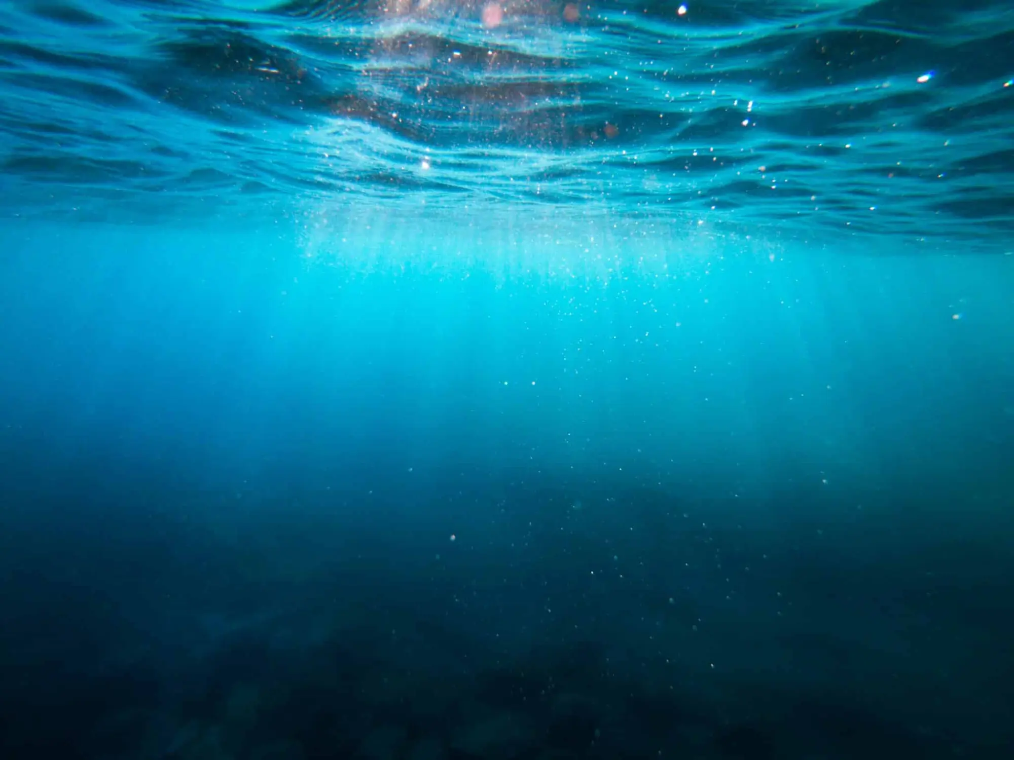 8 Giugno giornata mondiale dell'ambiente e degli oceani con Plastic Free