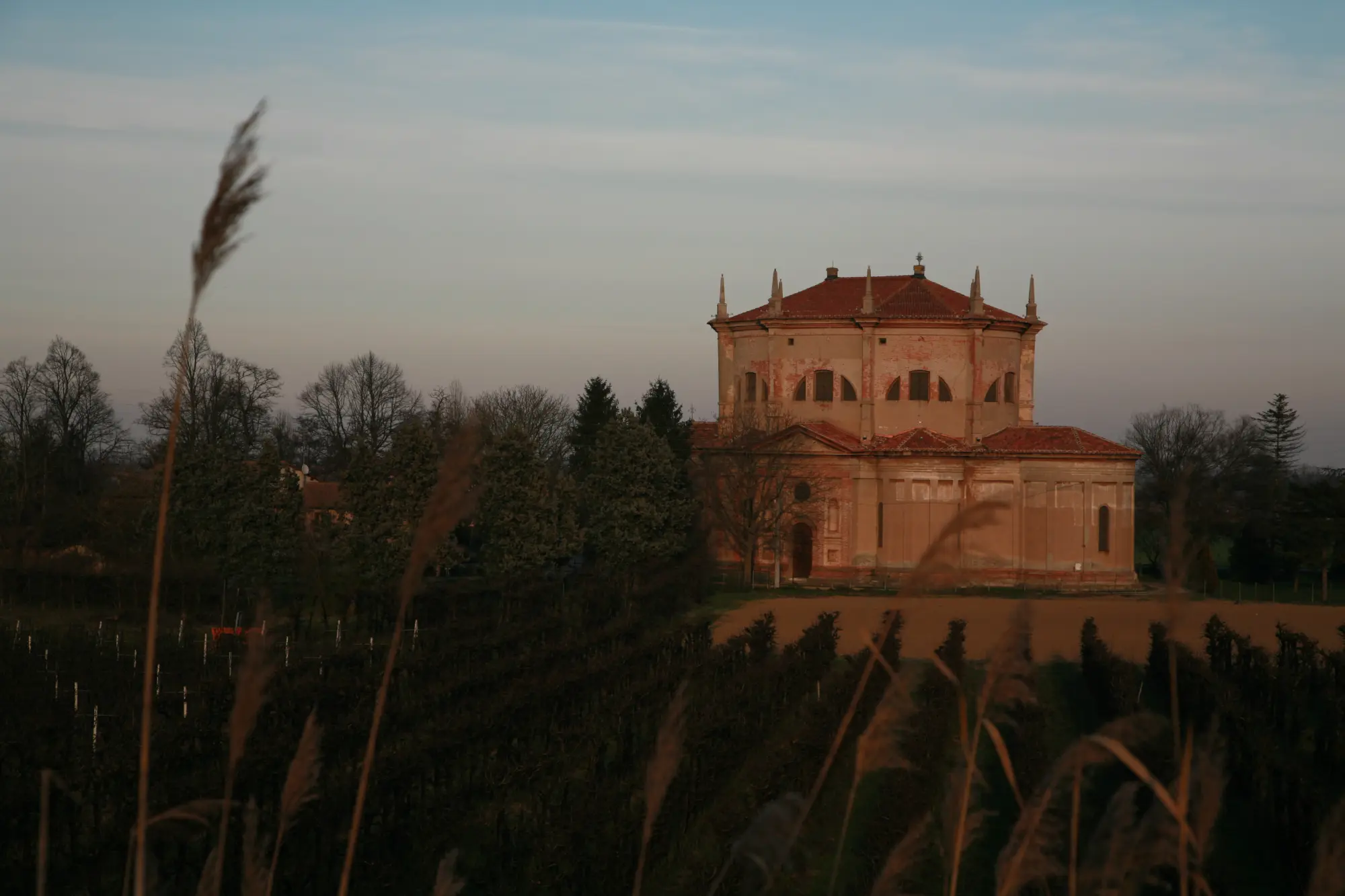 Cammini e pellegrini
