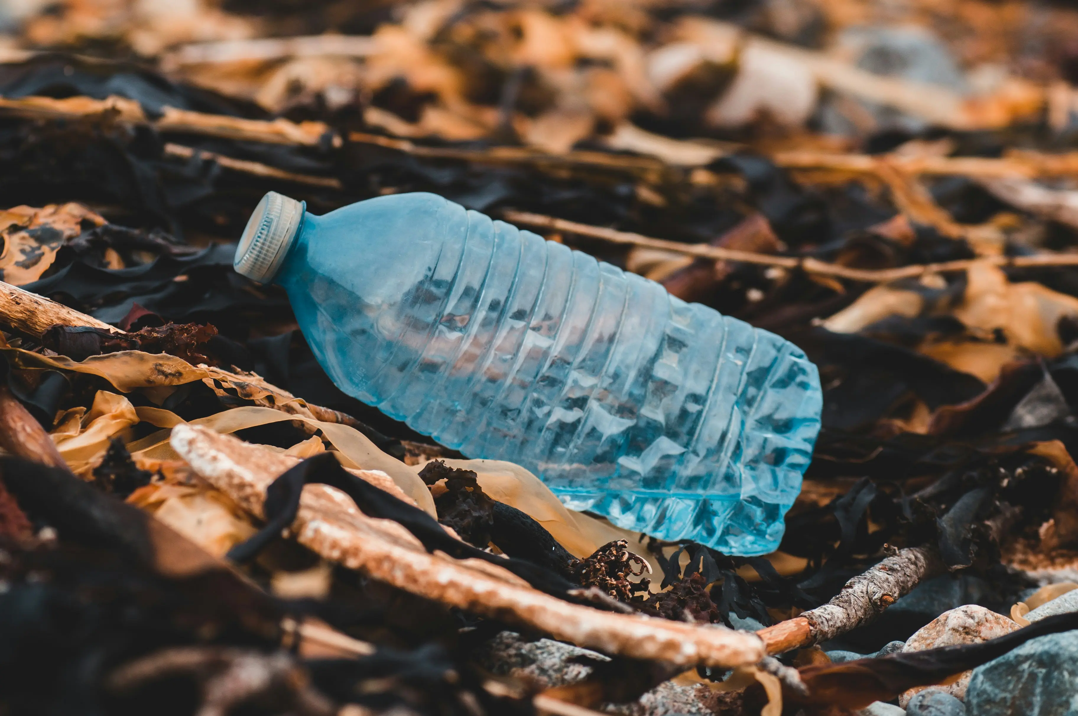 Plastic Free ad Argenta