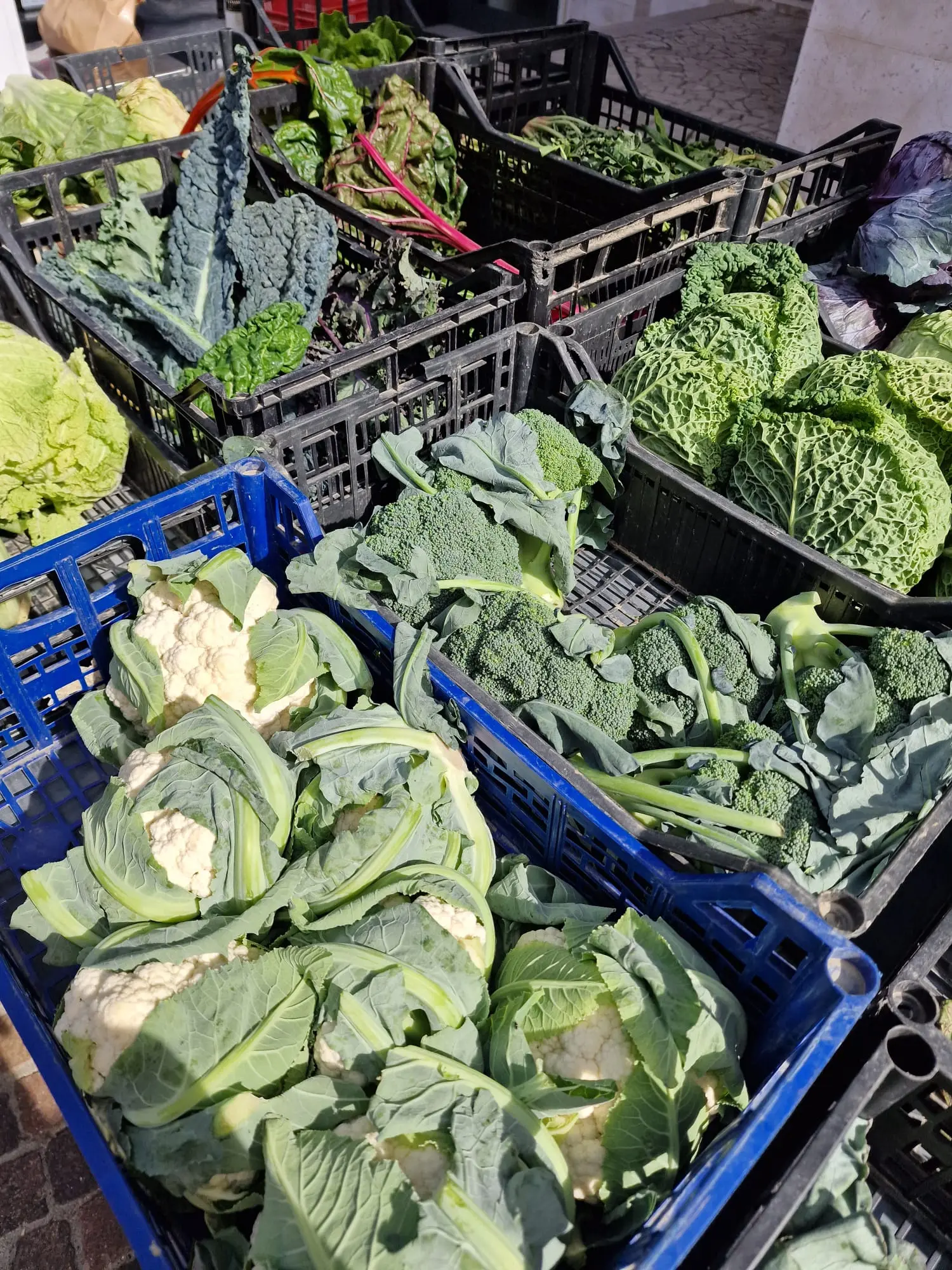 Genuino: mercato secondo natura 