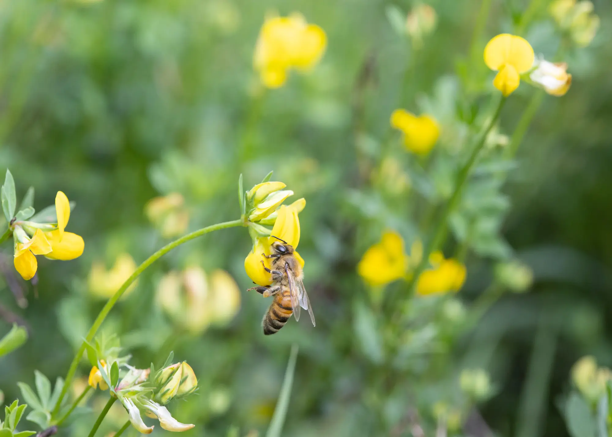 In bici tra le Valli: benvenuta primavera!