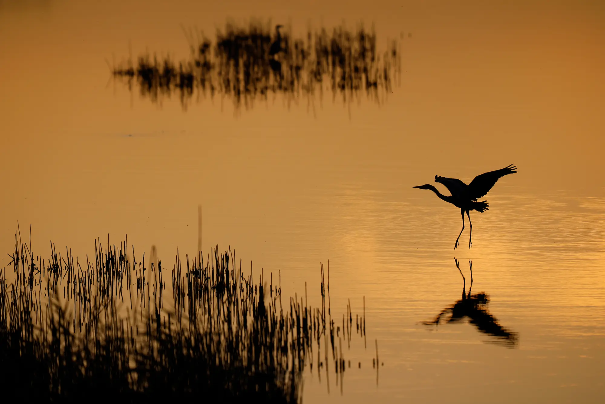 La magia del tramonto