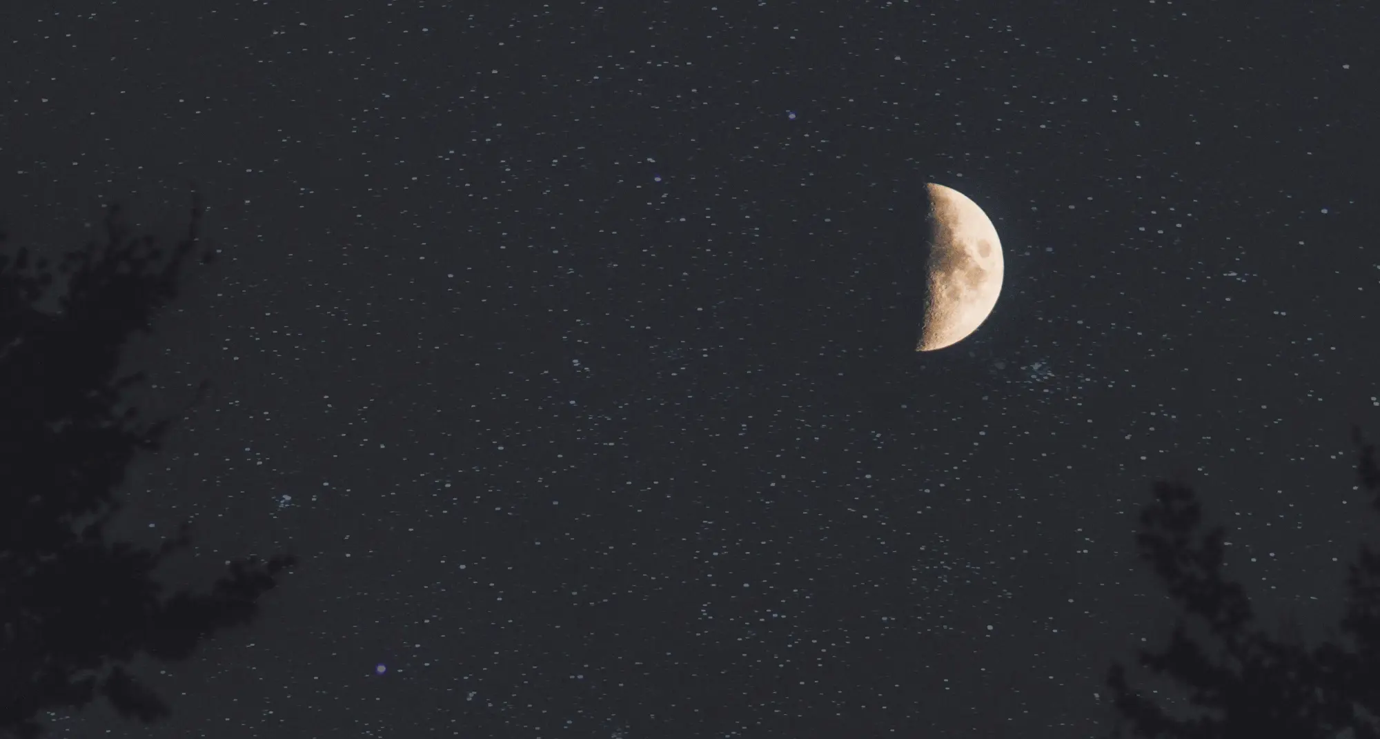 Tra lupi e licantropi… apericena al chiaro di luna