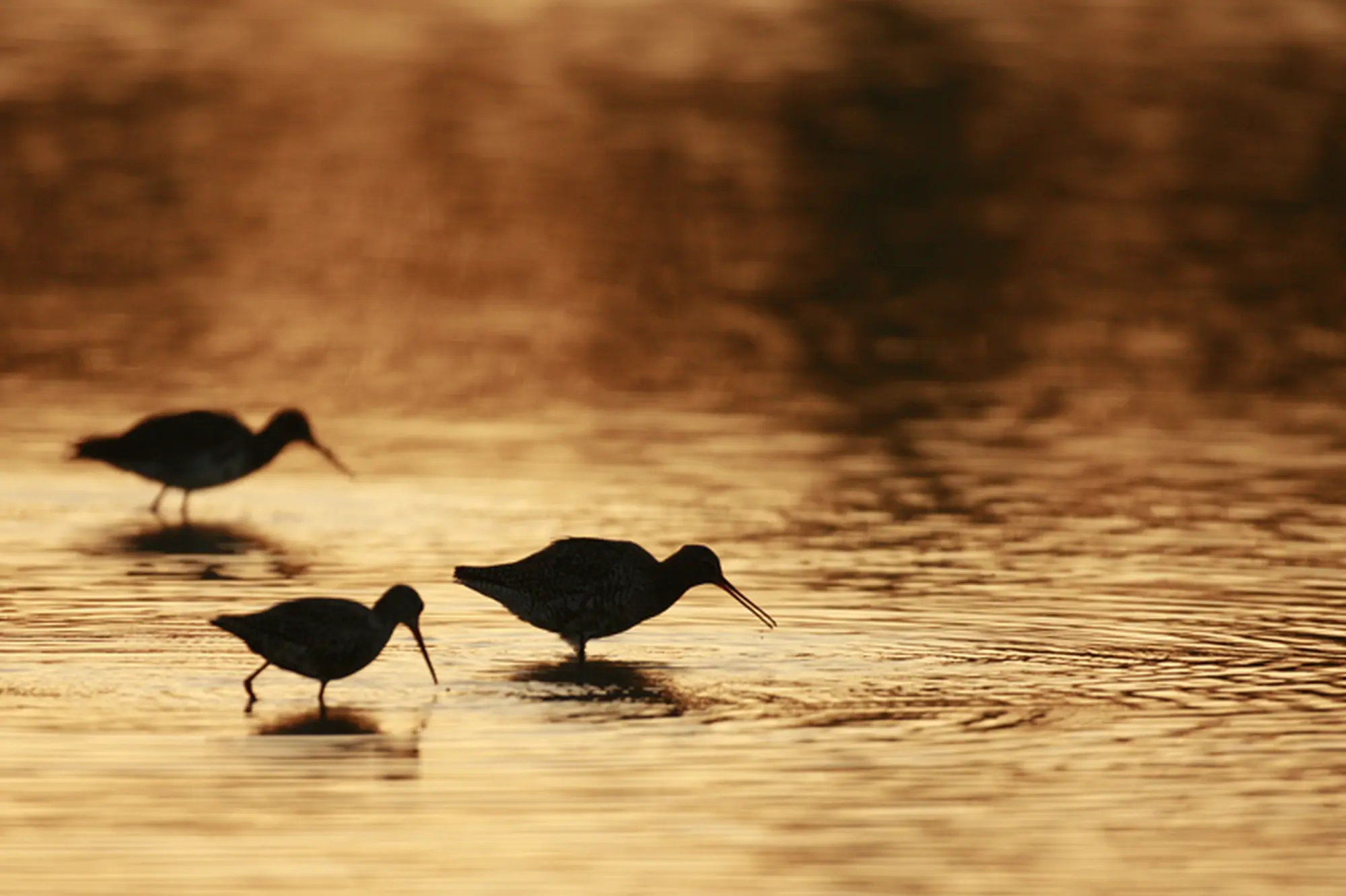 La magia del tramonto
