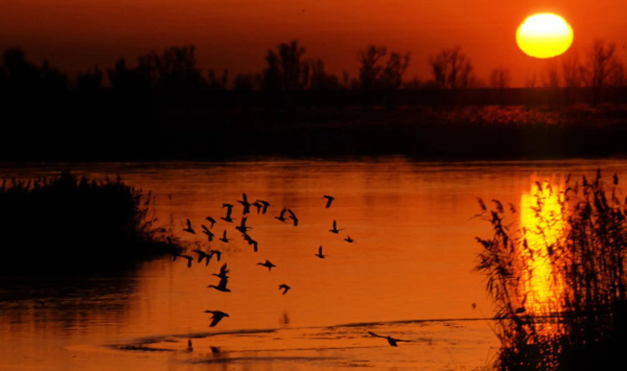 La magia del tramonto