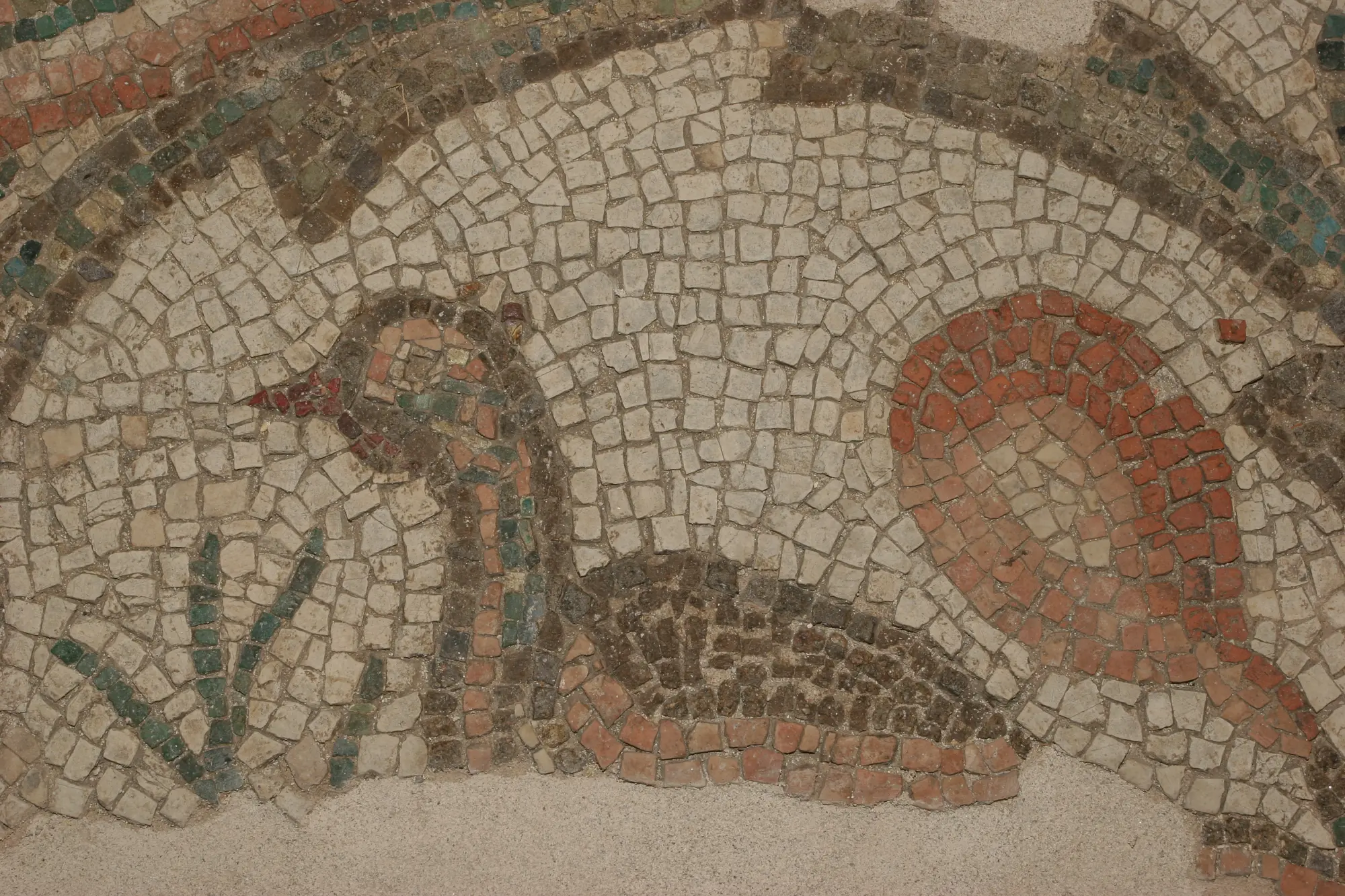 Storia della pieve San Giorgio attraverso i reperti al museo civico