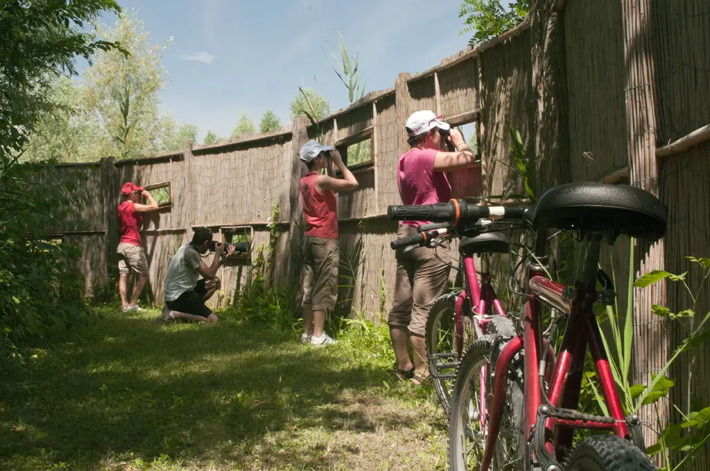 Bici-Birdwatching