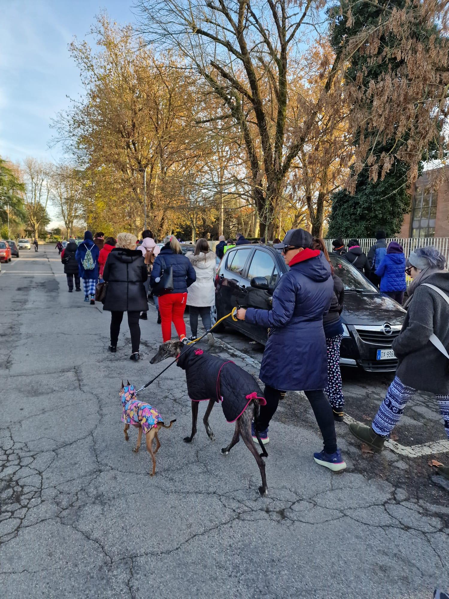 Iniziative pubbliche