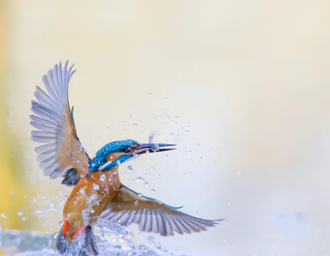 Escursioni guidate in Vallesanta e visite tematiche al Museo Civico