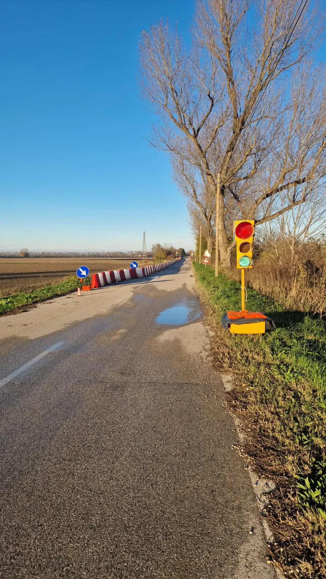 Modifica alla viabilità sulla SP 38 Cardinala ad Argenta