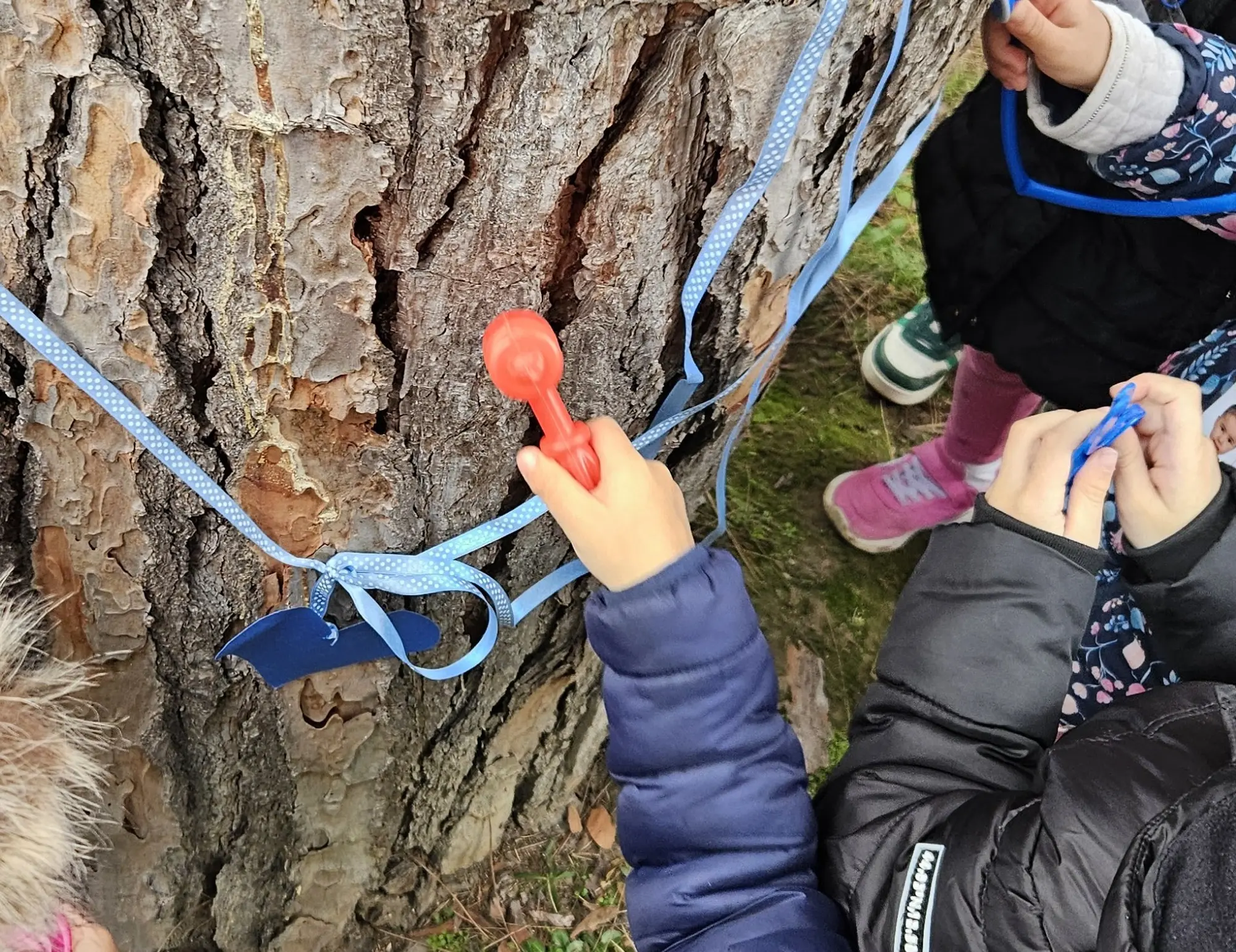 Il segreto del Giardino Primaro
