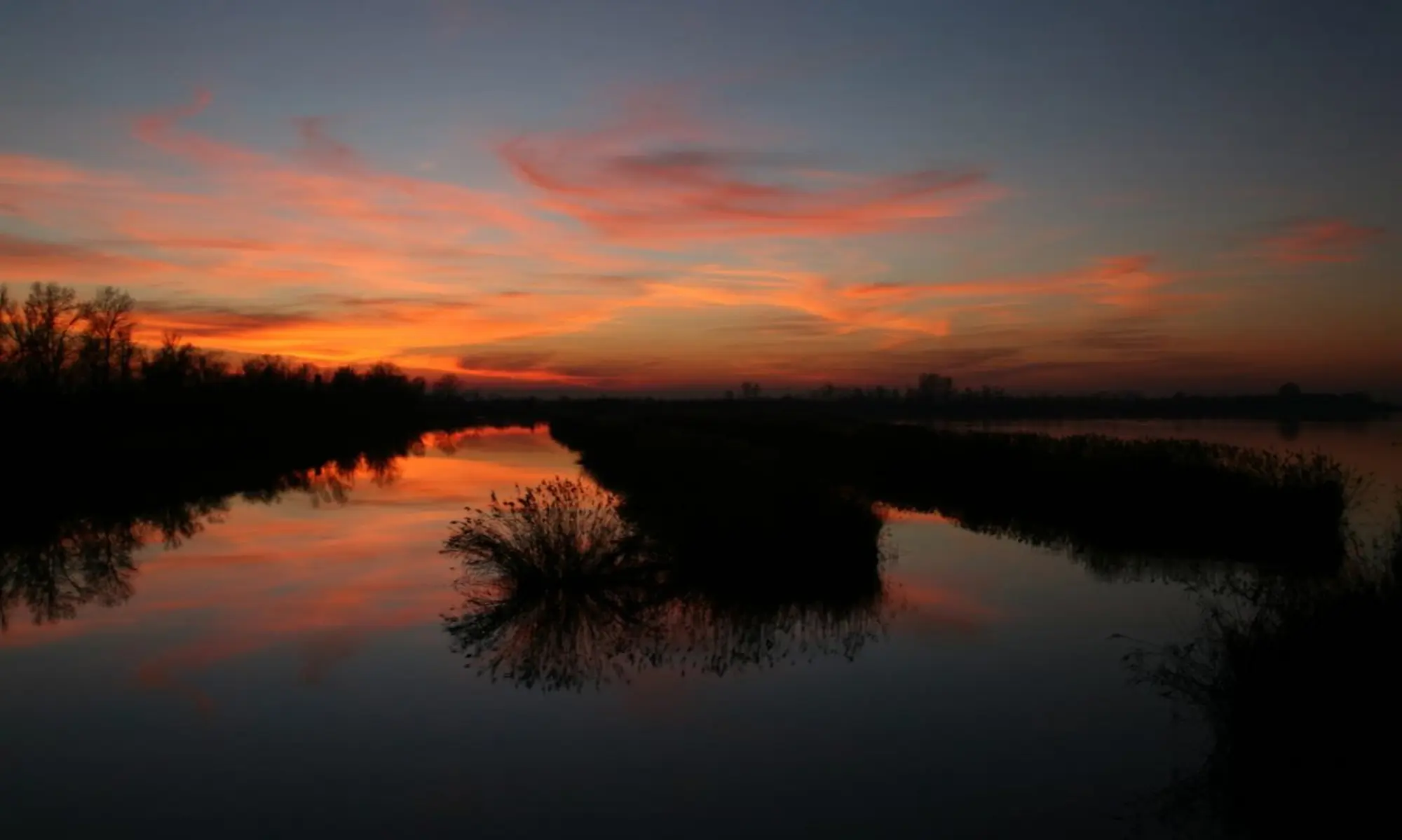 Dialetti di acqua e di terra