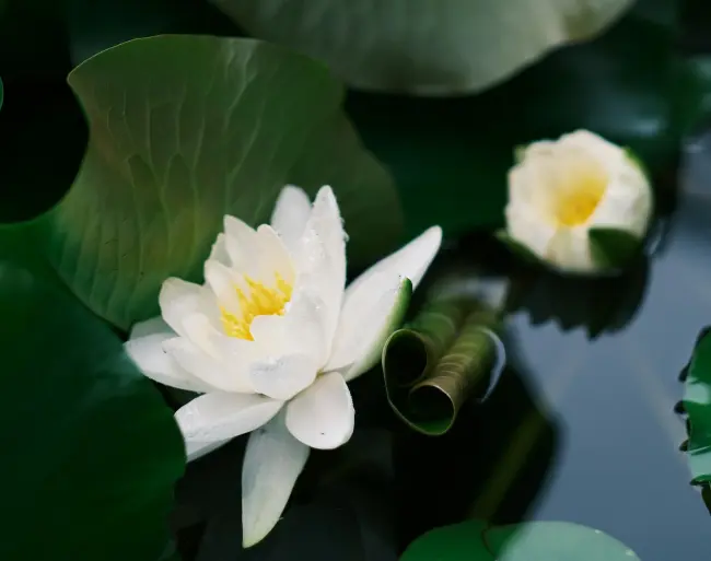 Escursioni primavera- estate con l'Ecomuseo