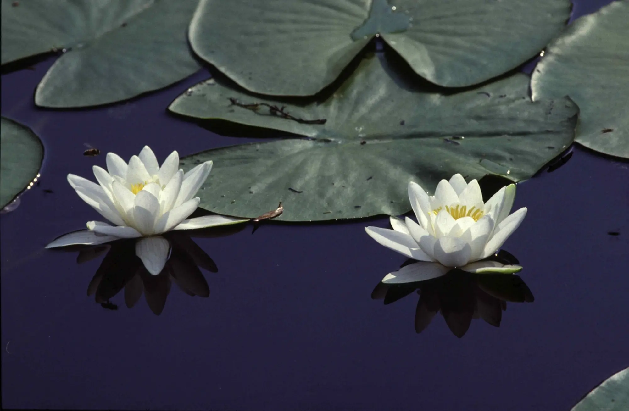 Weekend all'Ecomuseo