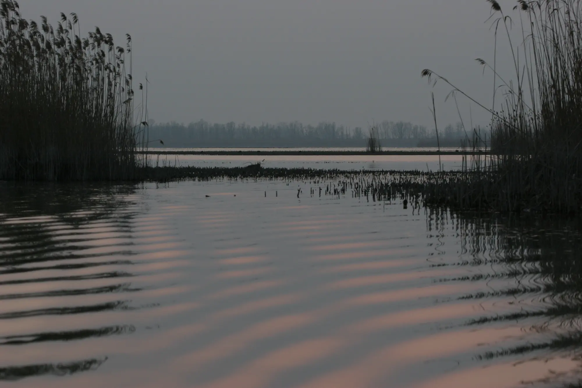 La Pesca sportiva in Vallesanta ha aperto i cancelli