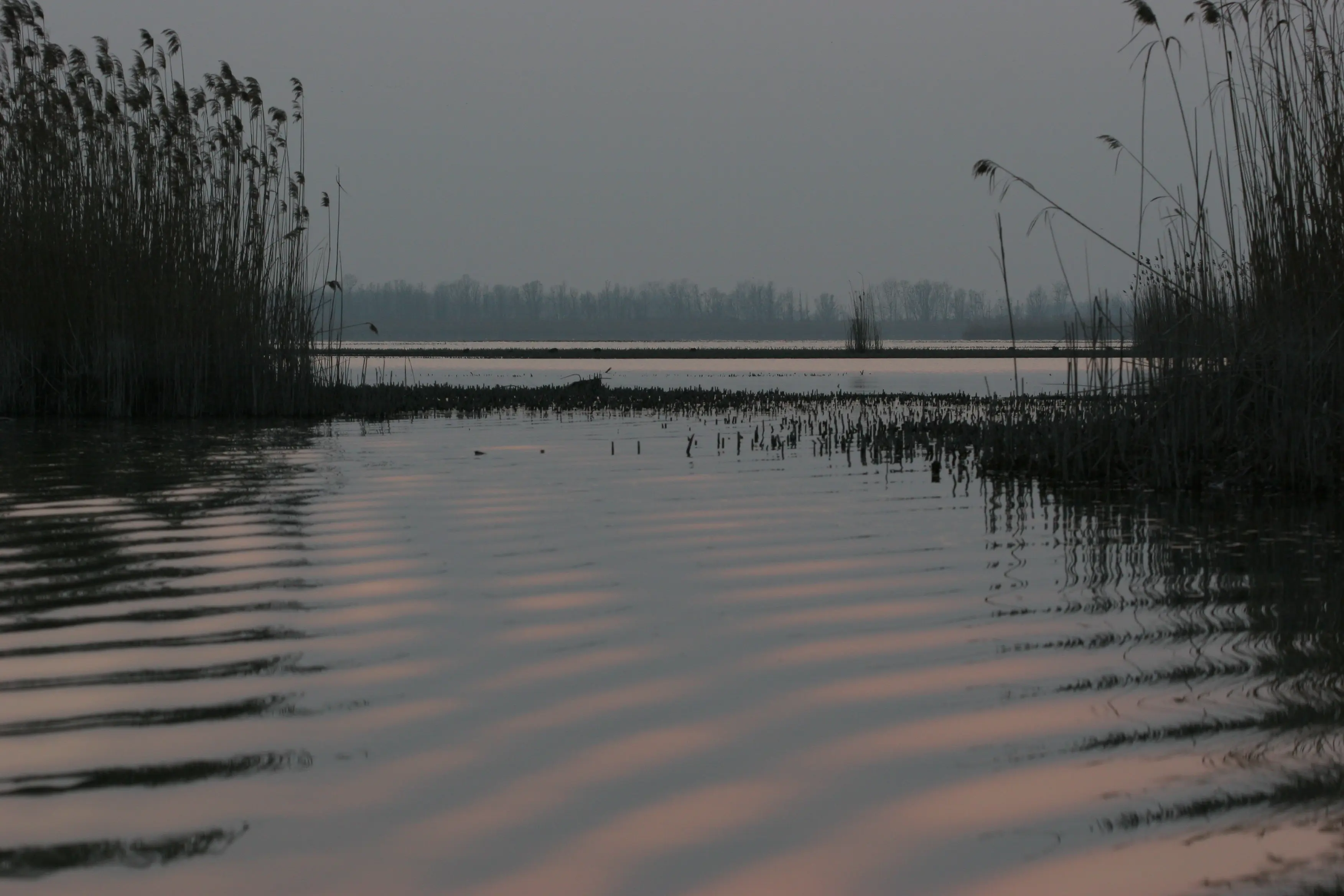 La Pesca sportiva in Vallesanta ha aperto i cancelli