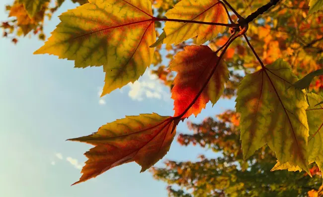 Settembre tra natura, storia e cultura: gli appuntamenti dell’Ecomuseo di Argenta