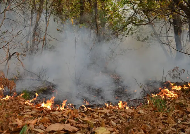 Da lunedì 23 giugno avvio della fase di attenzione agli incendi boschivi