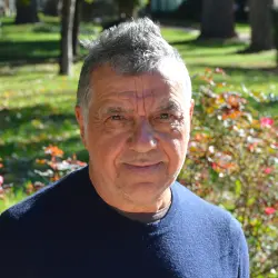 Borea Sauro